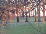 Dusk on the golf course