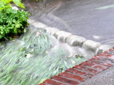 Rainwater streaming through the yard