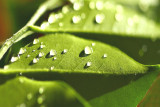 A sunny moment between rainy days