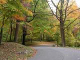 bend in the road