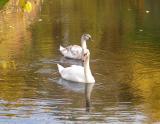 mom and baby