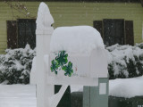 snowy mailbox