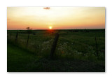 Summer Sunset