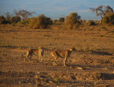 DSC_0586.JPG