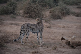 DSC_0638.JPG