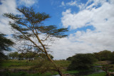 DSC_0727.JPG
