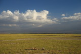 DSC_0785.JPG