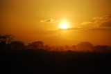 DSC_0833.JPG