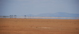 DSC_0868.JPG