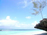 P1020110.JPG