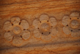 DSC_0325.JPG
