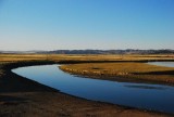 DSC_1486.jpg