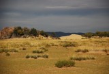 DSC_1516.jpg