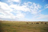 DSC_1535.jpg