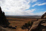 DSC_1558.jpg