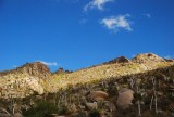 DSC_1592.jpg