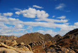 DSC_1604.jpg