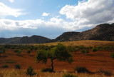 DSC_1607.jpg
