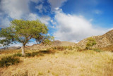 DSC_1608.jpg