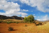DSC_1609.jpg