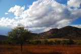 DSC_1614.jpg