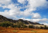 DSC_1622.jpg