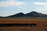 DSC_1846.jpg
