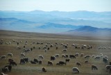 DSC_1919.jpg