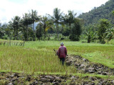 CIMG0293.jpg