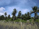 CIMG0302.jpg