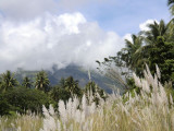 CIMG0303.jpg
