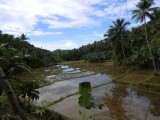 CIMG0317.jpg