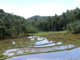 CIMG0319.jpg