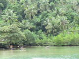 CIMG0322.jpg