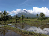 CIMG0345.jpg
