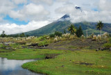 DSC_1969.jpg