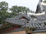 CIMG0060.jpg
