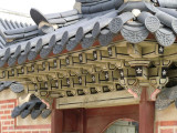 CIMG0061.jpg