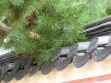 CIMG0063.jpg