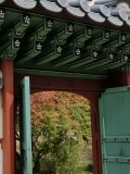 CIMG0073.jpg