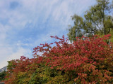 CIMG0075.jpg