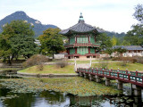CIMG0077.jpg