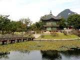 CIMG0079.jpg
