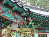 CIMG0121.jpg