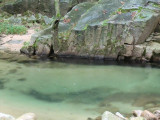 CIMG0123.jpg