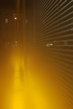 Yellow Fog