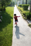 Dancing in the morning sun, Shanghai, China, 2009