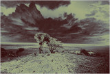 48-Kenyan-landscape-2e.jpg
