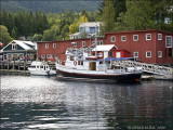 TELEGRAPH COVE