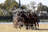 20101008_2347.jpg